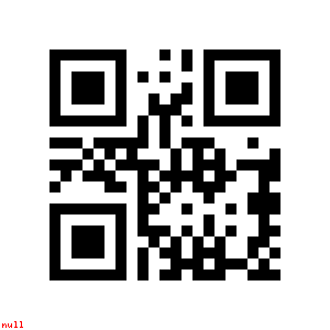 Your requested QR code